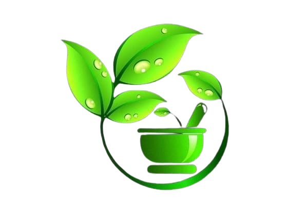 leal icon removebg preview